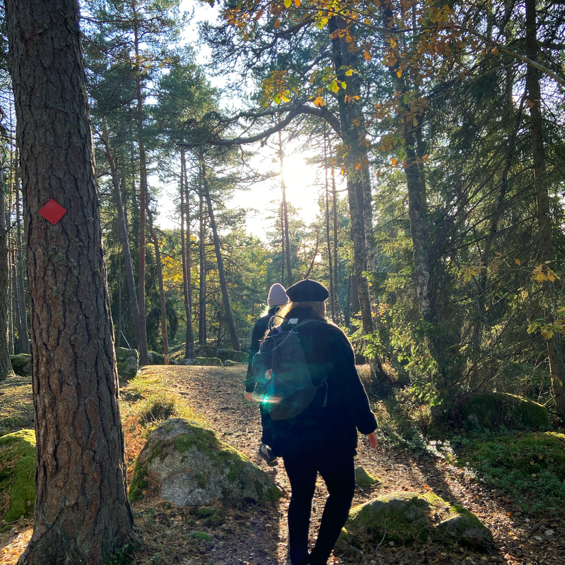 Höstutflykt med hyrbil från KINTO Share